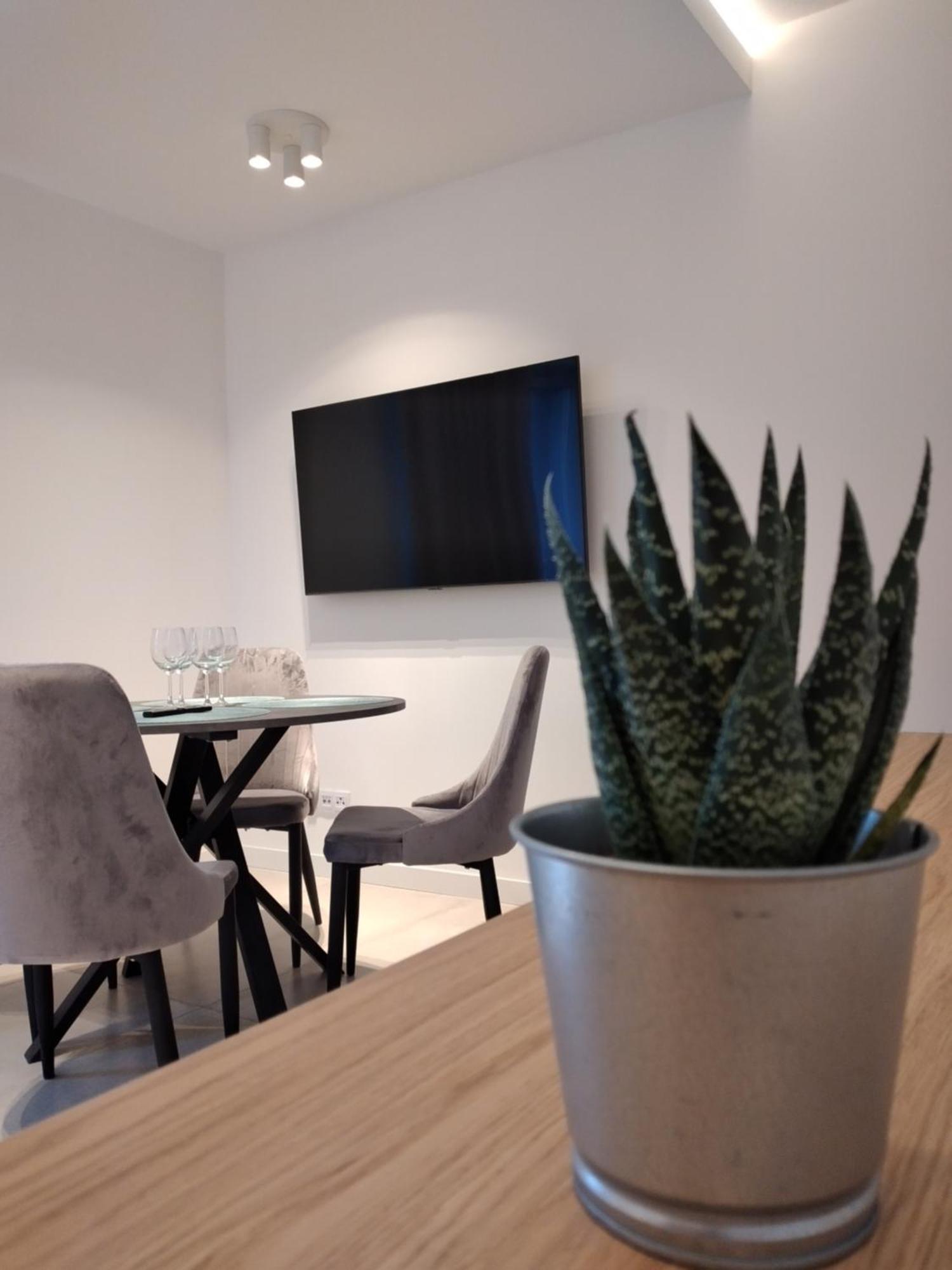 Apartament Zrodlana Ski 300M Świeradów-Zdrój Exteriér fotografie